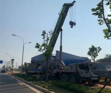 点击查看大图